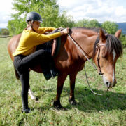 ÉTHOLOGIE CHEVAL FORMATION - SAVOIR 3