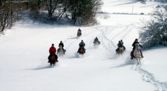 Galop dans la neige à cheval dans le Jura
