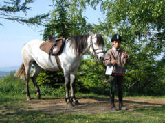 Départ pour l'orientation à cheval