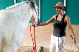 Retour aux fondamentaux - Mais avant il faut parfois revenir avec la longe pour mieux expliquer au cheval