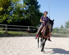 Conduite du cheval en cordelette et stick