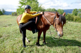 Ethologie cheval formation - savoir 3 - En selle maintenant !