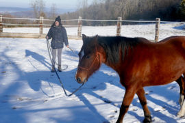 Même dans la neige - Si le cheval est pied nu la neige n'est pas un obstacle...