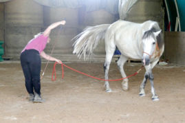 Desengager - Encore un exercice fondamental en équitation éthologique