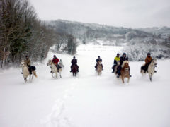 Randonnée équestre neige Jura au galop