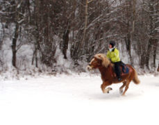 Bichon, une vraie bombe au galop !