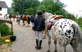 Départ pour 3 jours de randonnées itinérantes à cheval