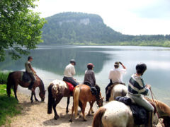 Randonnée équestre à cheval  - au bord des lacs du Jura