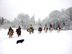 A cheval dans la neige