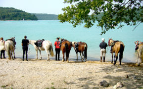 Petite collation pour les chevaux après le pique nique