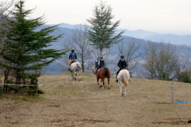 Petit tour du terrain de PTV au galop - Il fait tout de même trois hectares