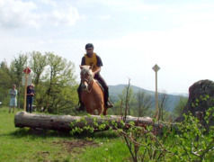 le tronc à cheval