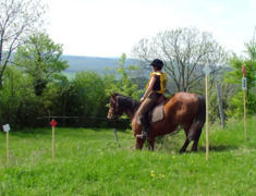 le plan descendant à cheval