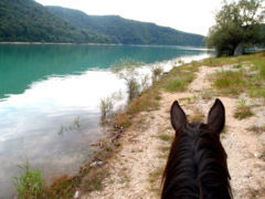 Cheminons à cheval le long du lac de Vouglans